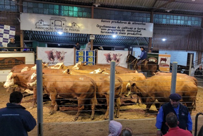 Conexão Delta G fecha Primavera com mais de 1,7 mil animais comercializados