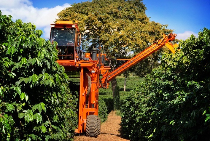 Café brasileiro é eleito o melhor do mundo