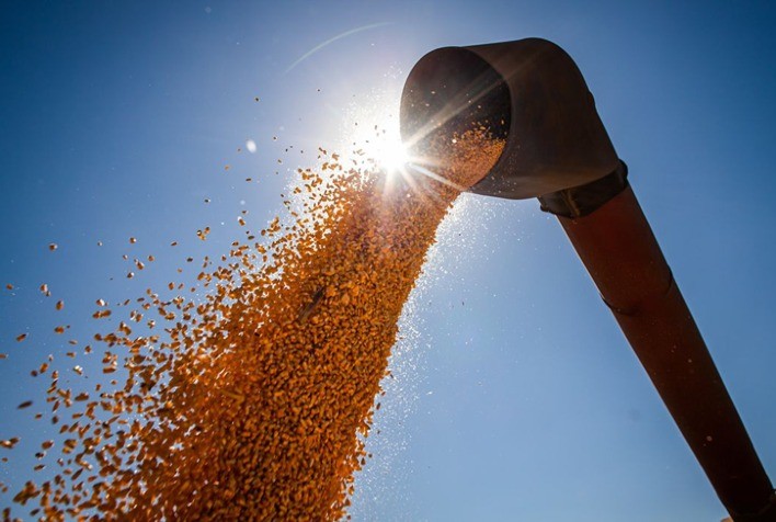 Conclusão da Colheita de Inverno no Paraná Revela Desafios Diante de Condições Climáticas Atípicas