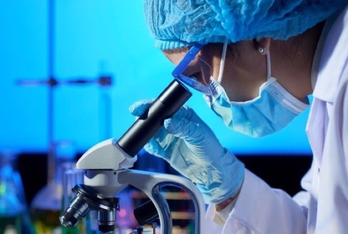 Pearson Saúde Animal lança Tilofor 20%, antibiótico com baixa carência para bovinos e suínos