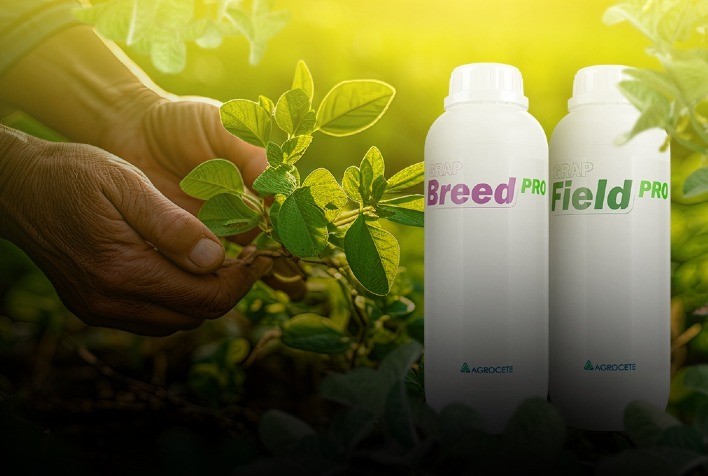 Fertilizantes contendo biofertilizantes geram 6% de incremento em produtividade na cultura da soja, mostra estudo de campo