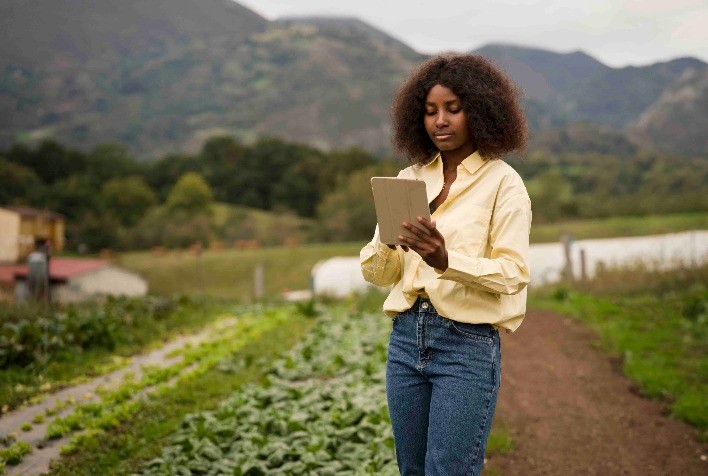 Monitoramento agrícola da Conab mostra que as condições climáticas impactam as principais regiões produtoras de grãos