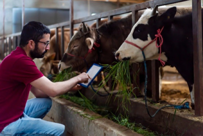 Transformação Digital na Pecuária: DSM-Firmenich Inova com Pecuária de Precisão para Vencer Desafios de 2023