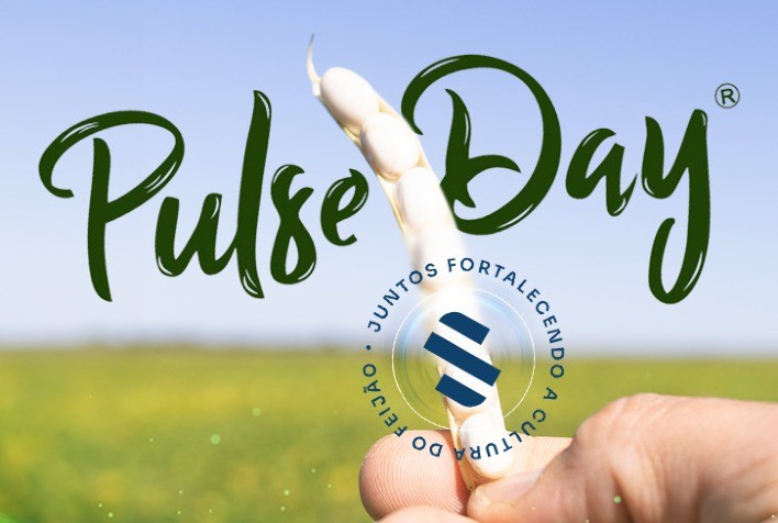 Ibrafe promove encontro de especialistas em feijão em Santa Catarina para estimular o plantio e debater perspectivas de mercado