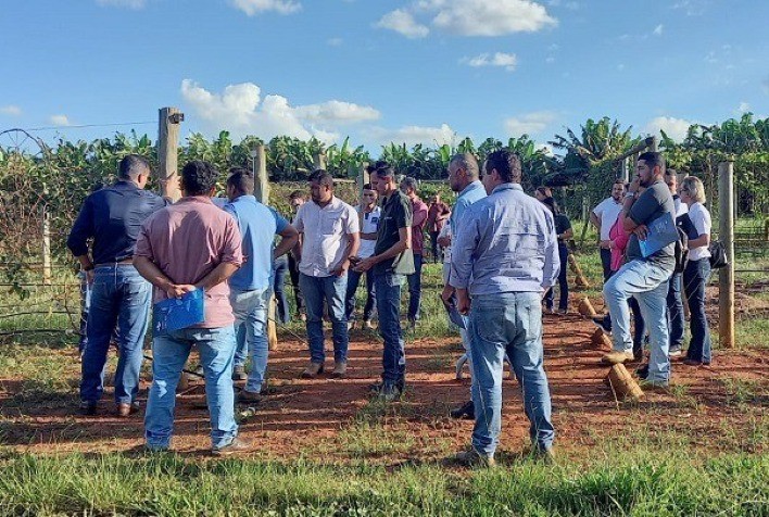 Governo de Goiás publica edital de seleção de novos produtores para o projeto de Fruticultura do Vão do Paranã