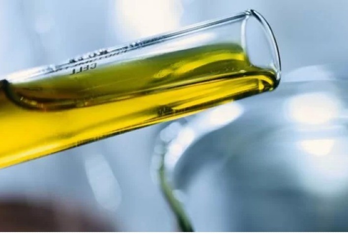 Impactos da desoneração do biodiesel na produção de soja e desenvolvimento regional