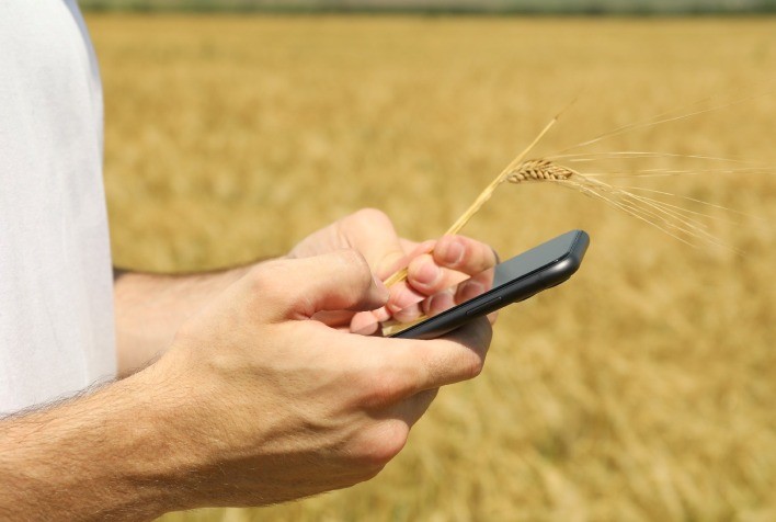 Agricultores do Paraná receberão créditos de carbono após colheita da safra 2023/2024