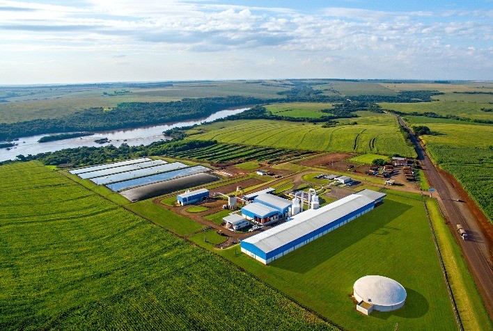 Transformação no interior: Cooperativas e grandes indústrias de alimentos impulsionam o setor no Paraná