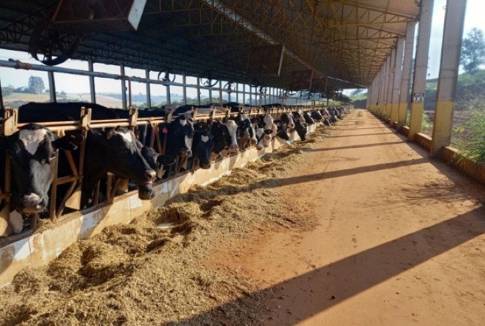 CRÉDITO: Ordenha robotizada é realidade utilizada para tornar produção mais assertiva