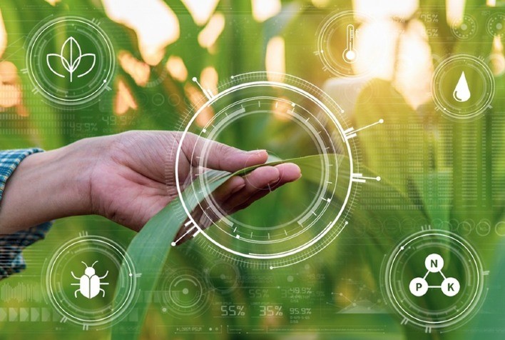 Varda estabelece novas parcerias para avançar na integração de dados agrícolas