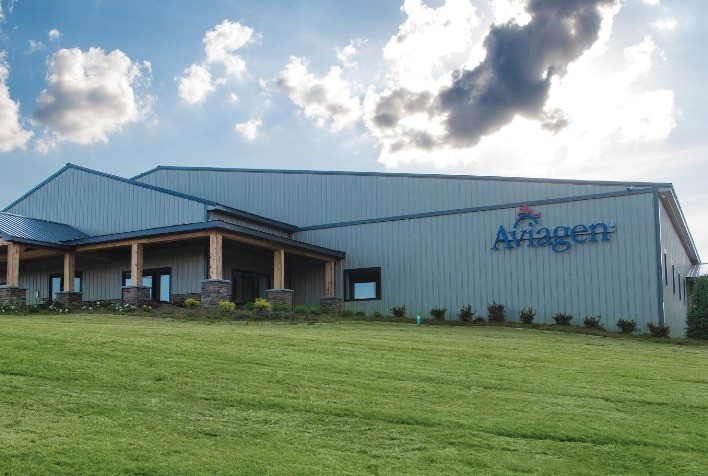 Aviagen América Latina investe em práticas sustentáveis