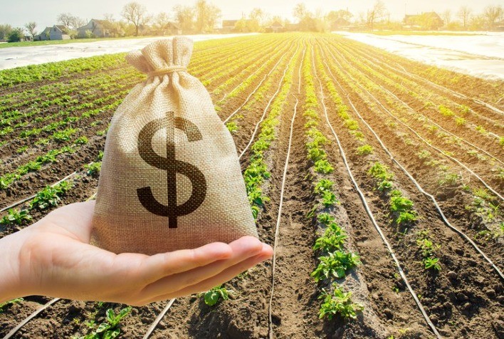 Microcrédito pode ser a chave para Brasil se manter na dianteira da agricultura mundial