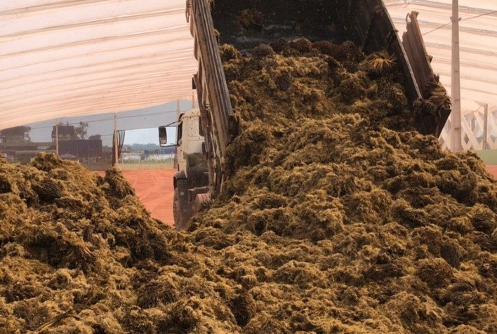 Grupo BBF inova com processo inédito de compostagem em escala para operações industriais sustentáveis no Pará