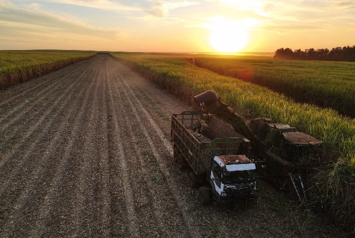 Nova safra da cana requer estratégia nutricional para alcançar maior rendimento na lavoura