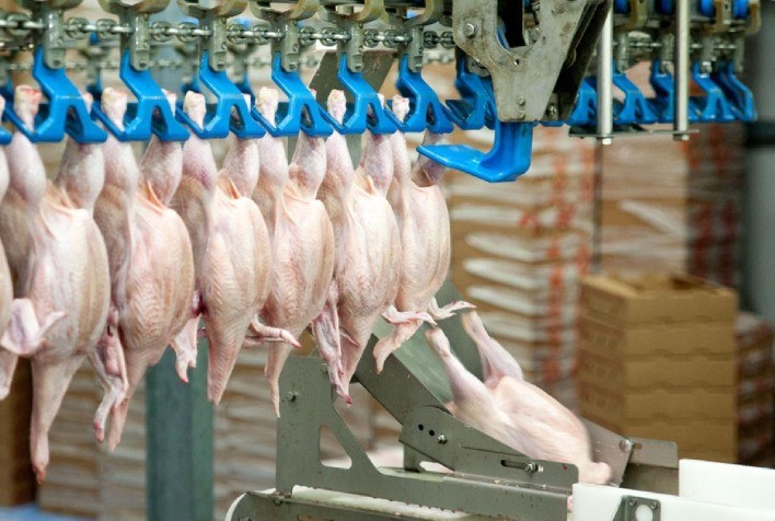 Evolução dos preços do frango abatido em 2023 e perspectivas para o início de 2024