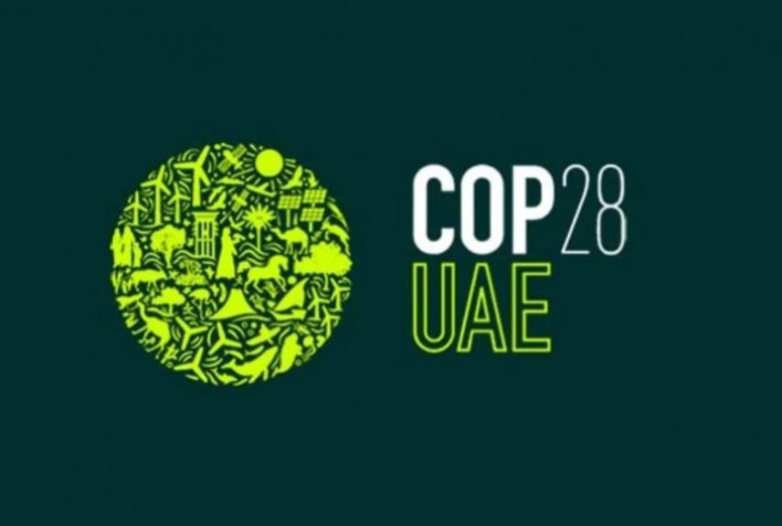 COP 28: Como a saúde animal pode contribuir para as metas de descarbonização do Brasil?
