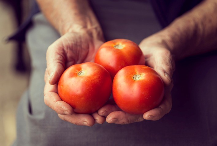 Alerta na Mesa: preço do tomate dispara em 2023 e outros itens essenciais também preocupam consumidores