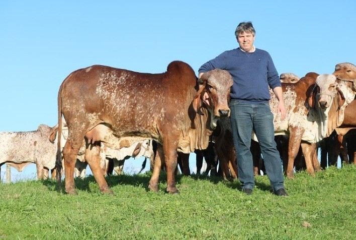 Brazilian Cattle: propriedade de Caxias do Sul é a primeira fazenda gaúcha a aderir ao programa