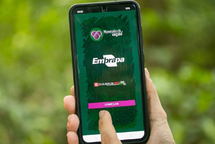 Aplicativo auxilia o manejo sustentável de açaizais nativos na Amazônia