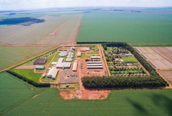 SLC Agrícola reduz em 3,3% projeção de área total plantada na safra 2023/24