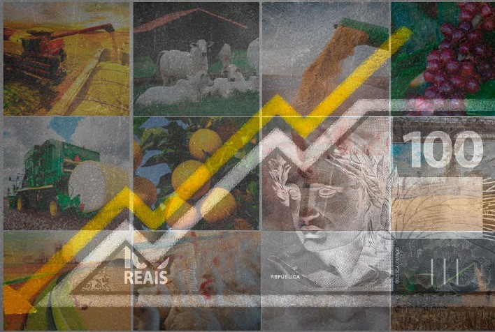 PIB do agronegócio do Brasil pode ter queda em 2024, prevê CNA