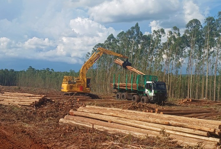 Bracell sedia 5ª edição do GT Colheita e Logística Florestal