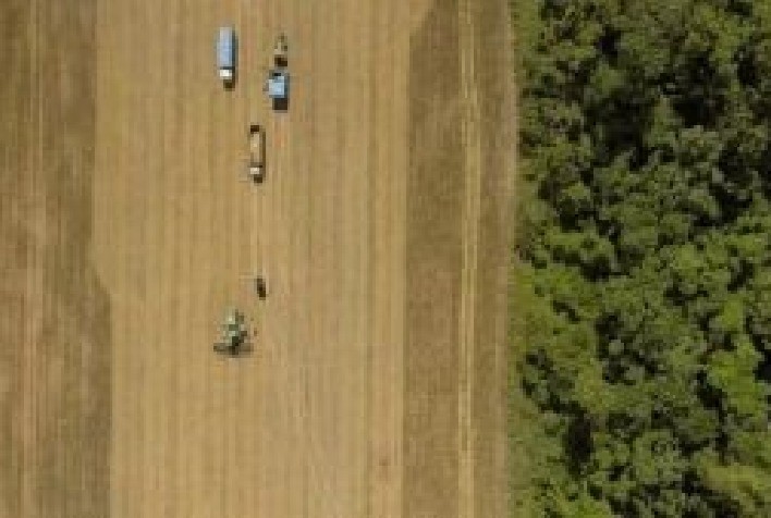 CRA verde em dólar é alternativa de investimento para fomentar a produção sustentável do agro brasileiro