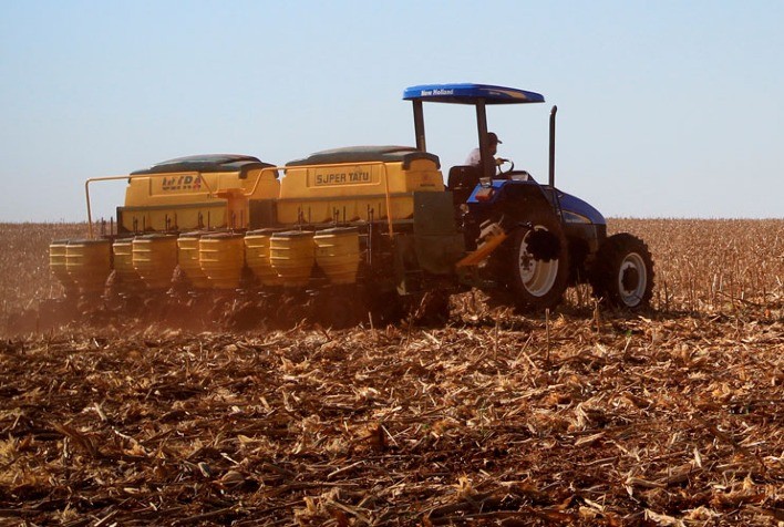 Por causa do excesso de chuva, Adapar prorroga plantio da soja em duas regiões do Paraná