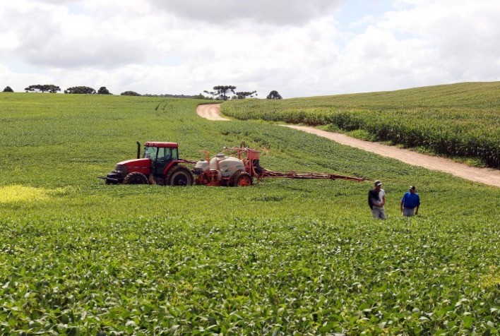ADAPAR: Agência orienta produtores sobre ampliação no calendário de plantio da soja