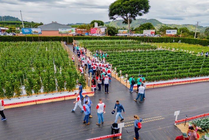 Dia de Campo apresenta as últimas tendências em horticultura para a América do Sul