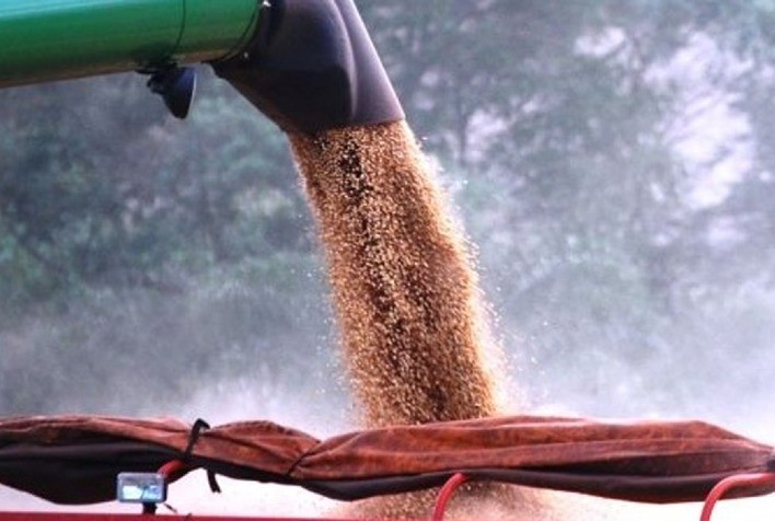 Safra de soja do Brasil 23/24 estimada em 160 mi t, retorno de chuvas ajuda, diz Cogo