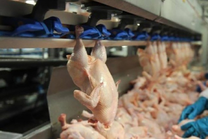 Carne de frango in natura: com primeiros resultados de dezembro, exportação de 2023 já supera em cerca de 2,5% o total de 2022