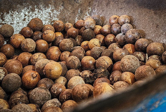 Incentivo do Governo de Minas beneficia 4,8 mil agroextrativistas do Cerrado