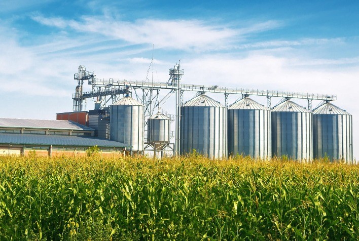 MT intensifica venda do milho 22/23 para liberar espaço em armazéns, mas enfrenta atrasos no 23/24