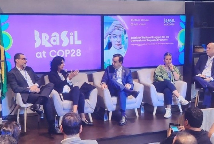Projeto da JBS promove recuperação de área equivalente a 2 mil campos de futebol