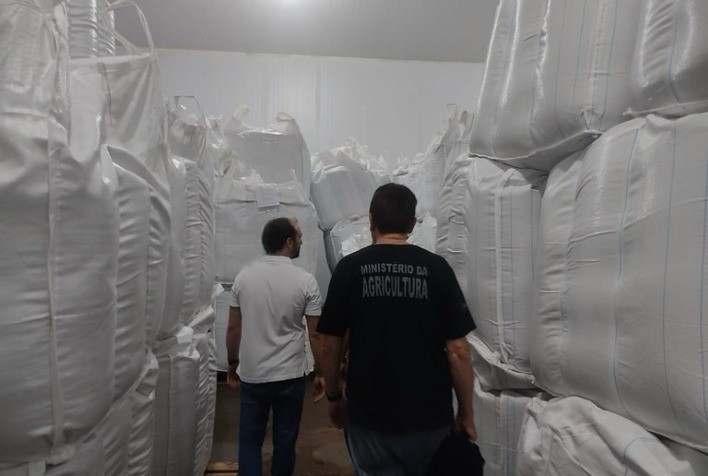 Mais de 350 toneladas de sementes irregulares são apreendidas em operações de fiscalização do Mapa