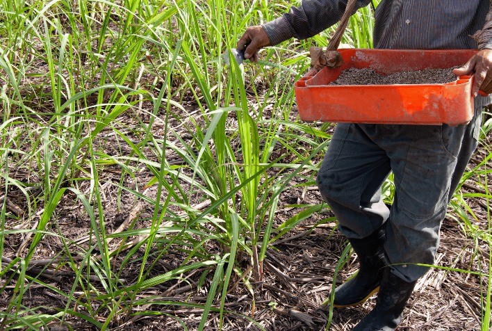 Conheça a alternativa sustentável para o uso de fertilizantes na agricultura