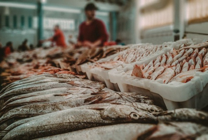 Abertura do mercado do Egito para pescados e derivados brasileiros