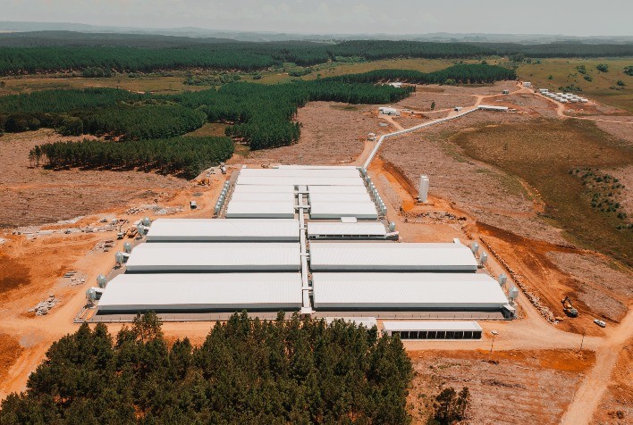 Com investimento de mais R$ 40 milhões, Topigs Norsvin inaugura Inovare Núcleo Genético, em Lages (SC)