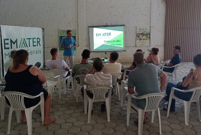 Emater-MG incentiva produção de alho na Zona da Mata mineira