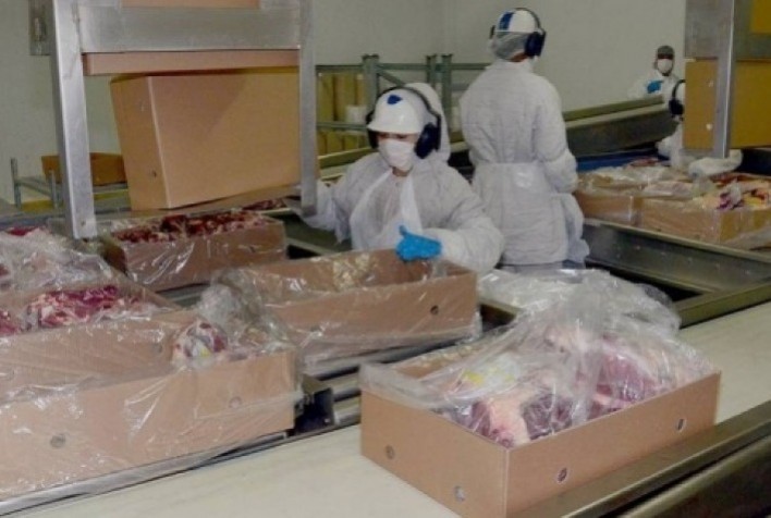Volume exportado de carne bovina alcança 97,3 mil toneladas em dezembro de 2023