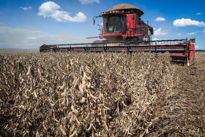 Mercado de soja na bolsa de Chicago aguarda desenvolvimentos climáticos na América do Sul
