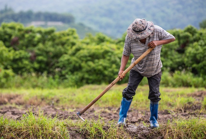 Falta de documentação pode inviabilizar a aposentadoria rural, alerta previdenciarista