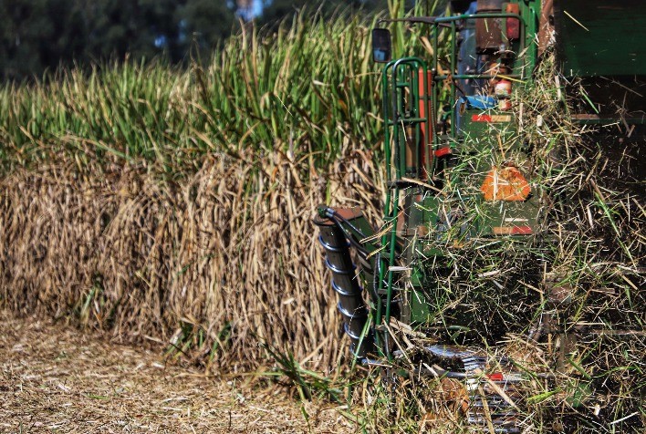 Tecnologia baseada em dados torna seguro agrícola mais inteligente e mais barato