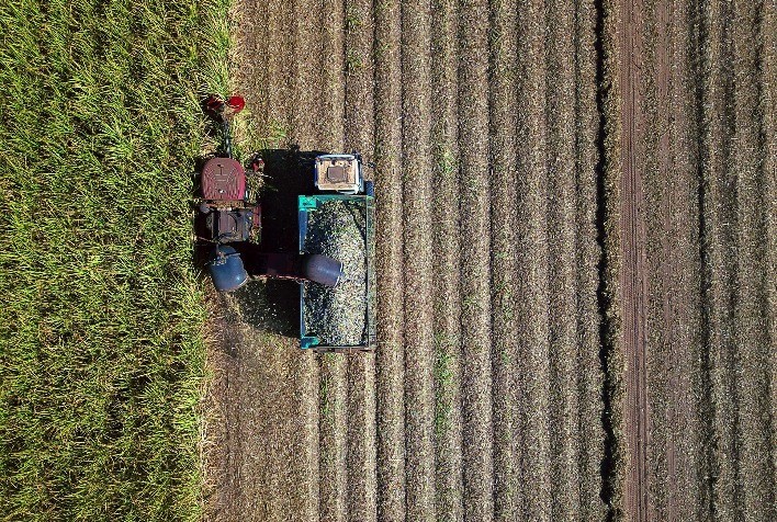 BrasilAgro encerra colheita de cana e atinge 103 toneladas por hectare no Centro-Oeste