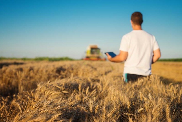 MERCADO DE TRABALHO:  Número de pessoas atuando no agro atinge novo recorde no 3º trimestre