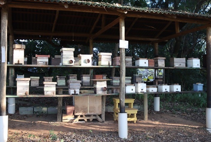 Senar lança cartilha que ensina como instalar meliponário