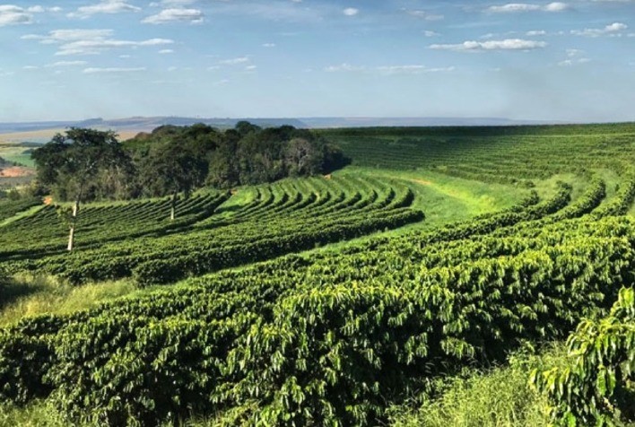 Primeiro café brasileiro eleito o melhor do mundo tem selo do Certifica Minas