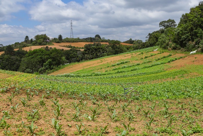 Com 3,9 mil agricultores certificados, Paraná lidera produção orgânica do Brasil