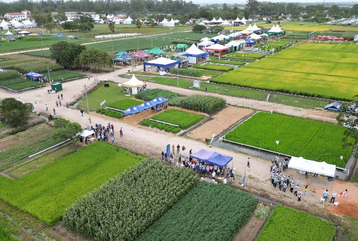 Empresas e instituições mostram inovações nas vitrines da Abertura da Colheita do Arroz